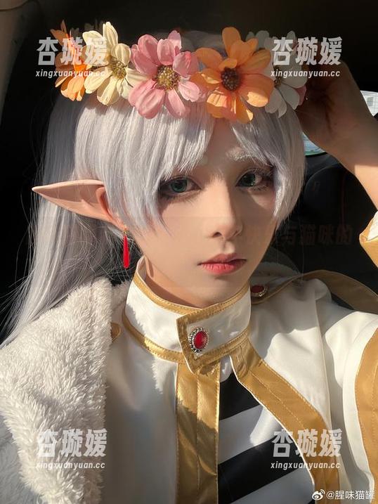 腥味猫罐带来的资源：新年快乐与猫咪的微妙关系！